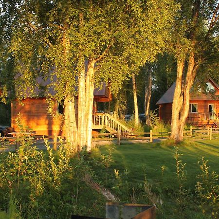 Susitna River Lodging, Riverside Cabins Talkeetna Buitenkant foto