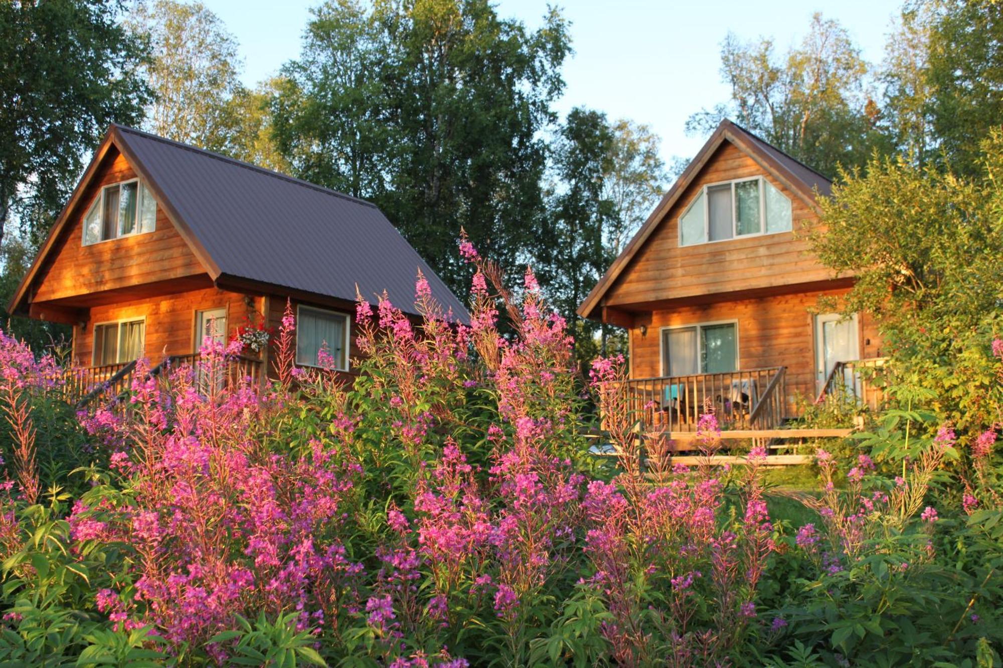 Susitna River Lodging, Riverside Cabins Talkeetna Buitenkant foto