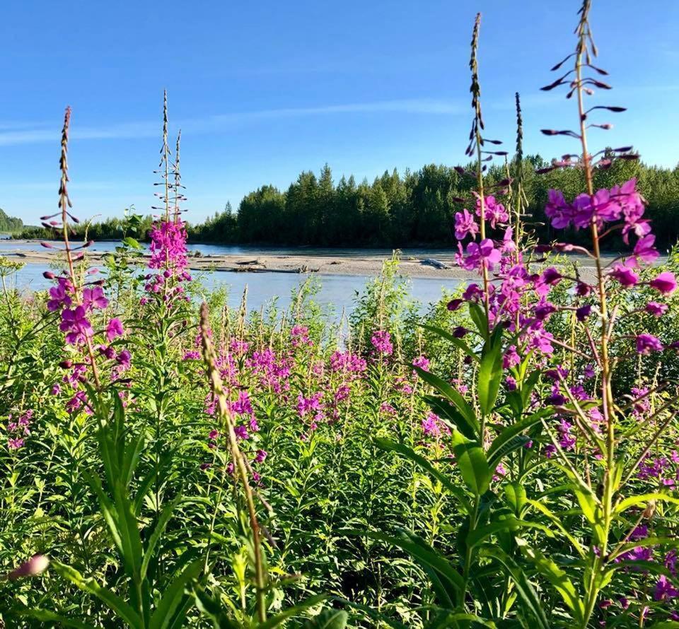 Susitna River Lodging, Riverside Cabins Talkeetna Buitenkant foto
