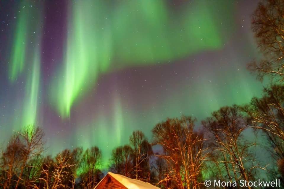 Susitna River Lodging, Riverside Cabins Talkeetna Buitenkant foto