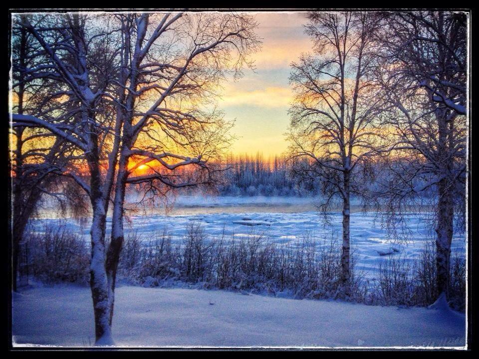Susitna River Lodging, Riverside Cabins Talkeetna Buitenkant foto